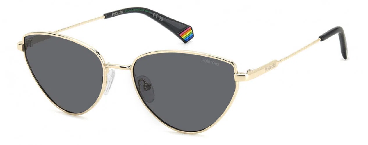 Polaroid Core PLD6234 Sunglasses